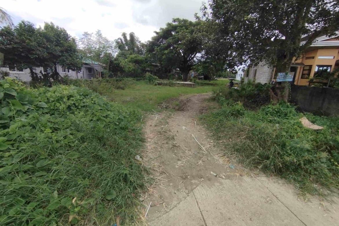 Land for Sale in Quilo-Quilo North, Padre Garcia, Batangas – photo 3