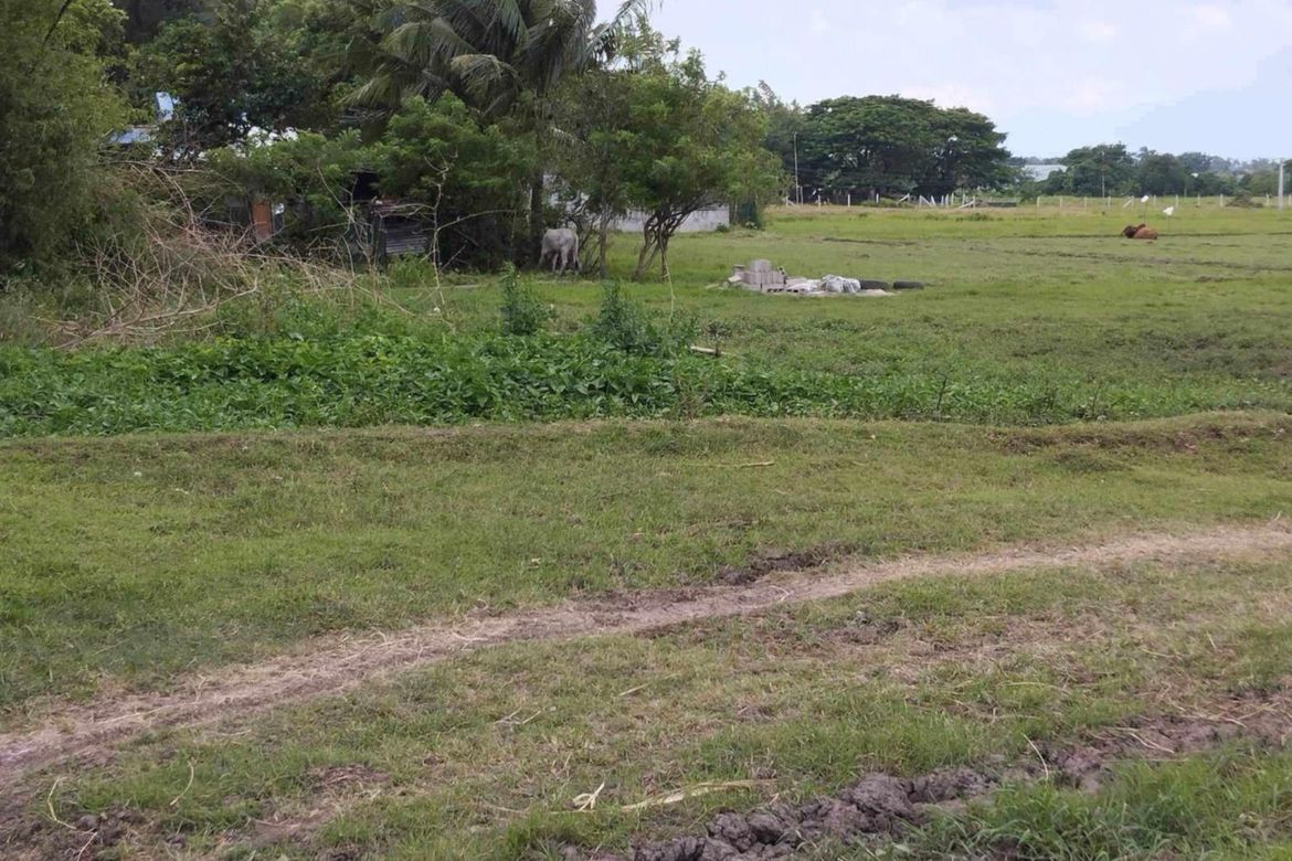 Land for Sale in Quilo-Quilo North, Padre Garcia, Batangas – photo 4