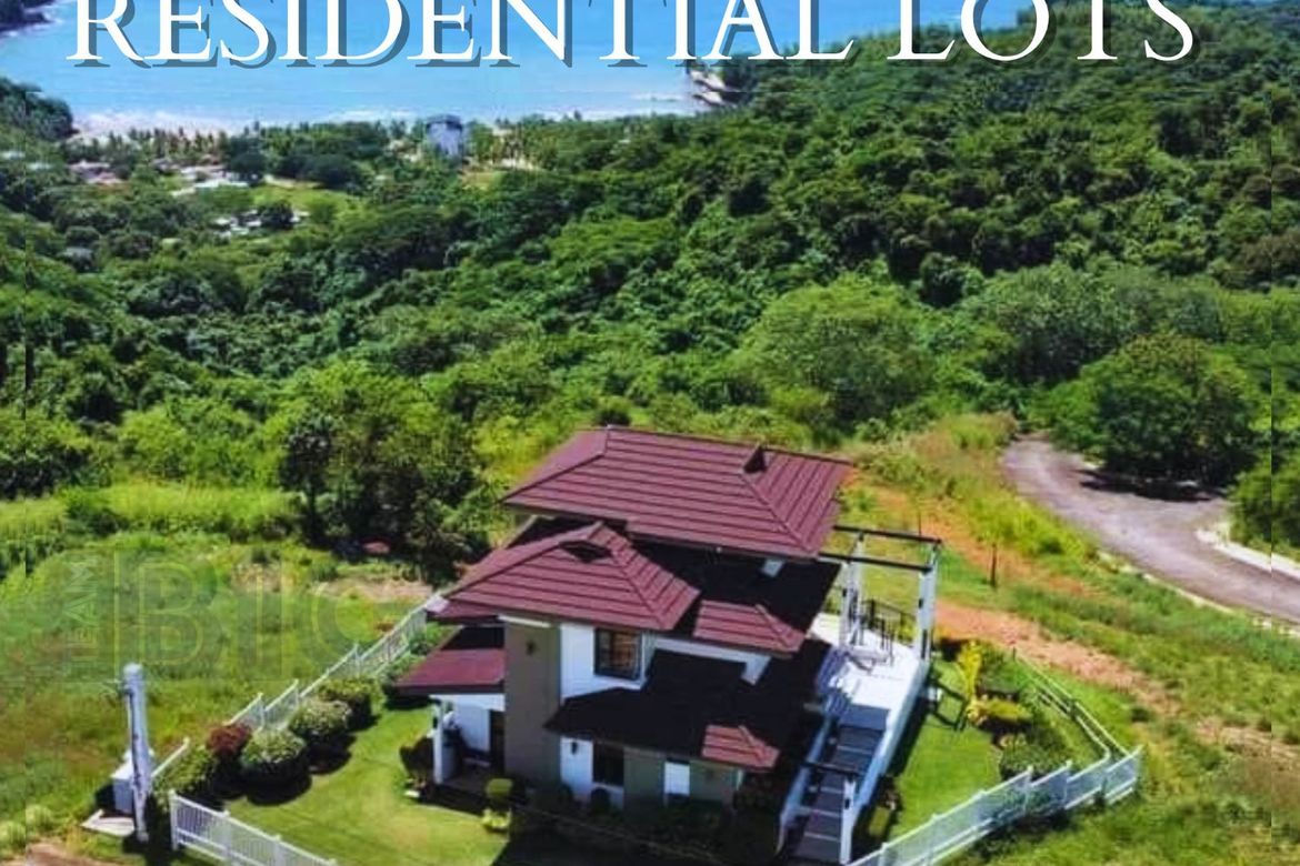 Land for Sale in Quinawan, Bagac, Bataan – photo 6
