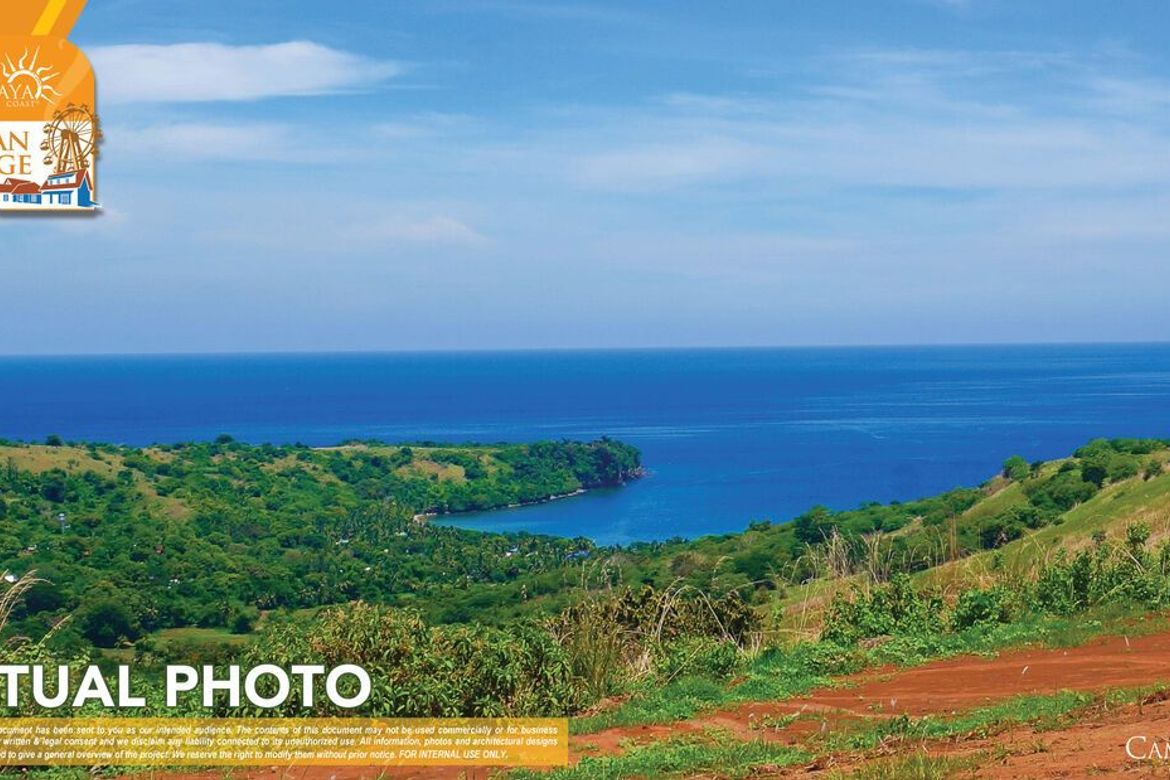 Land for Sale in Quinawan, Bagac, Bataan