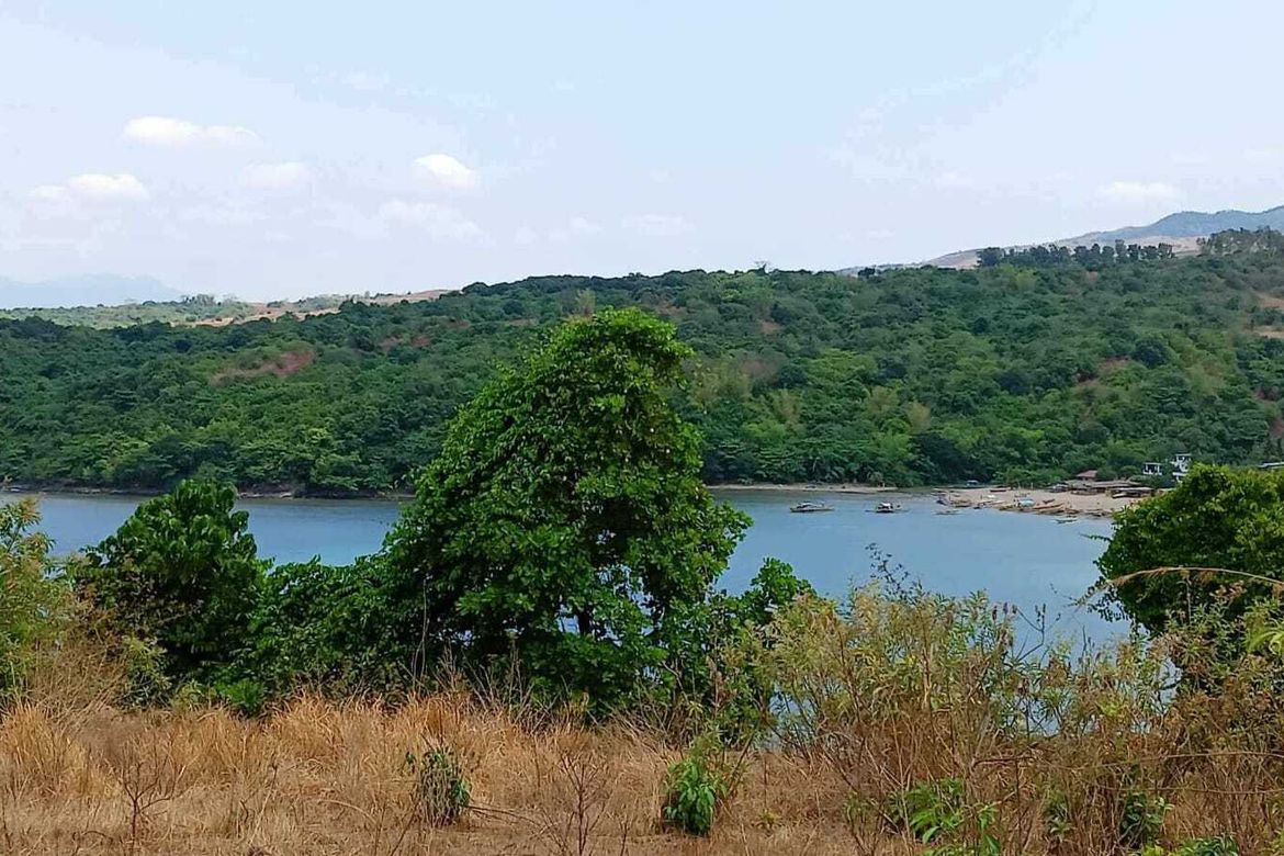 Land for Sale in Quinawan, Bagac, Bataan – photo 8