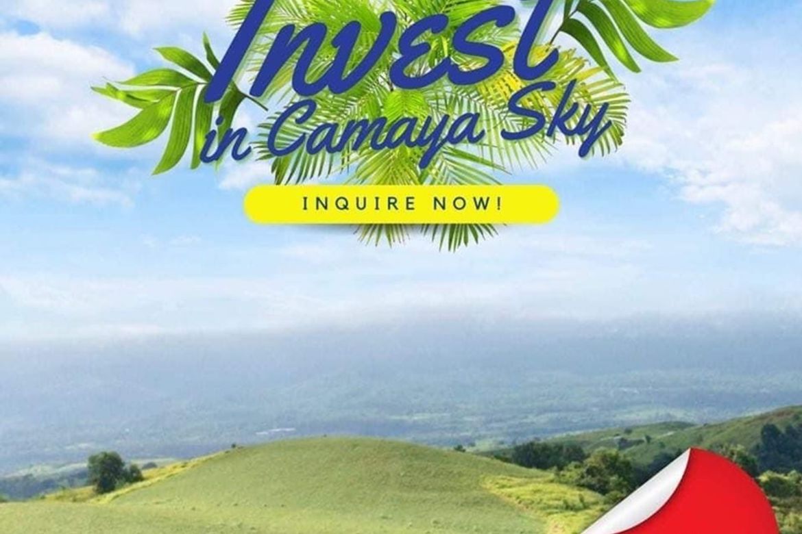 Land for Sale in Quinawan, Bagac, Bataan