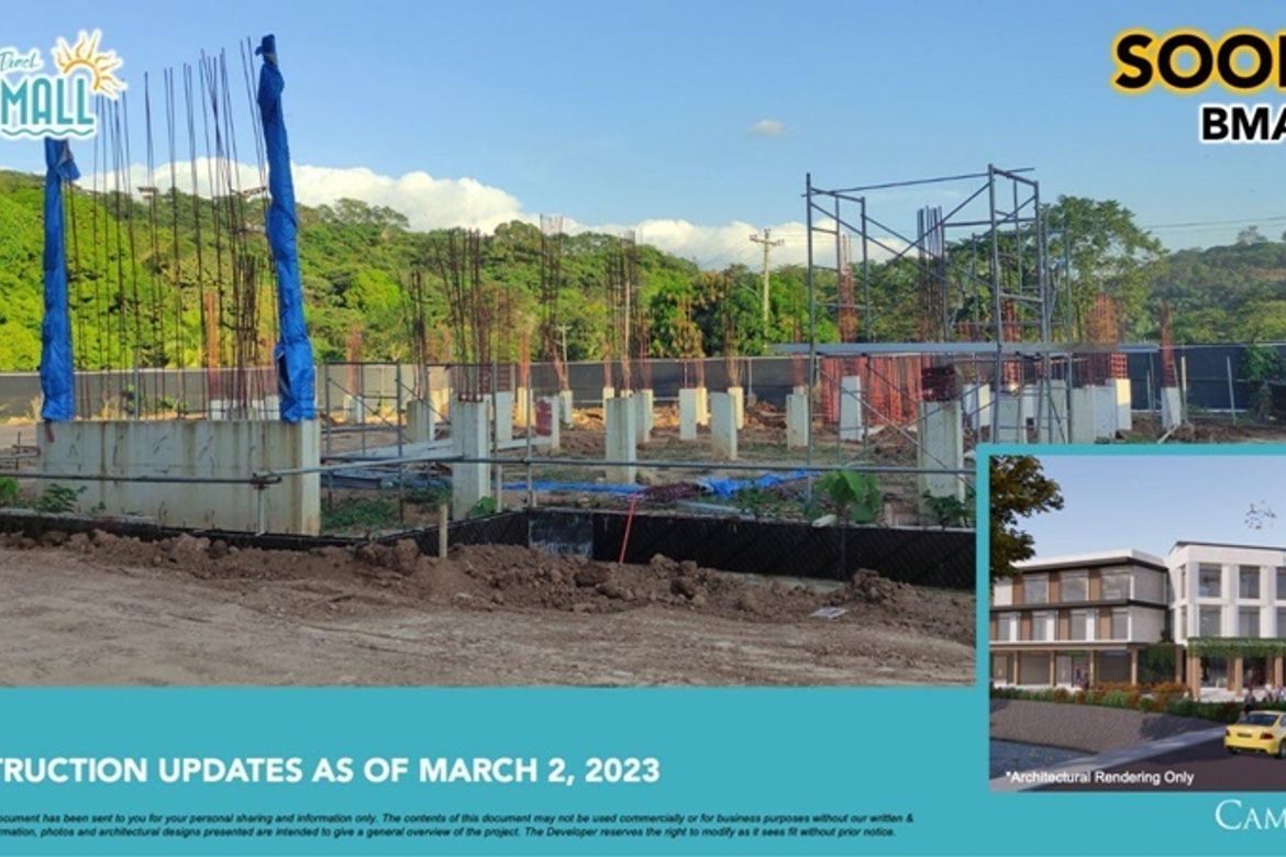 Land for Sale in Quinawan, Bagac, Bataan – photo 4