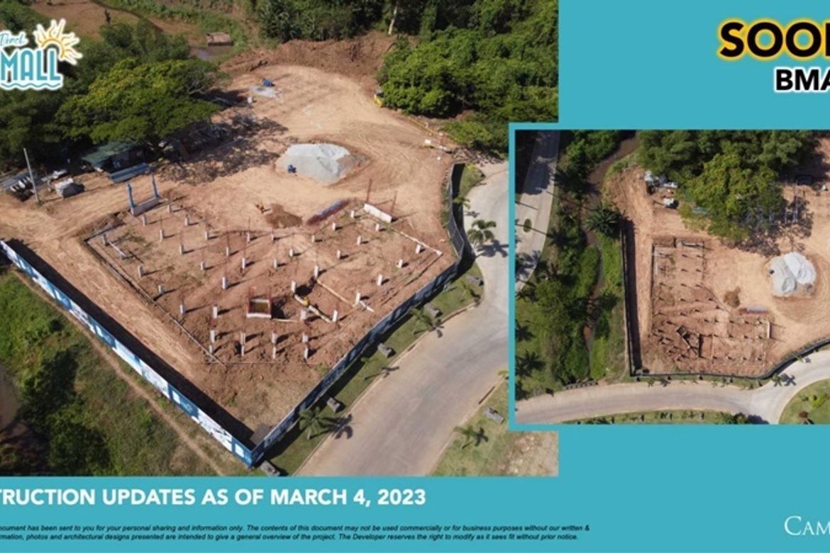 Land for Sale in Quinawan, Bagac, Bataan – photo 5
