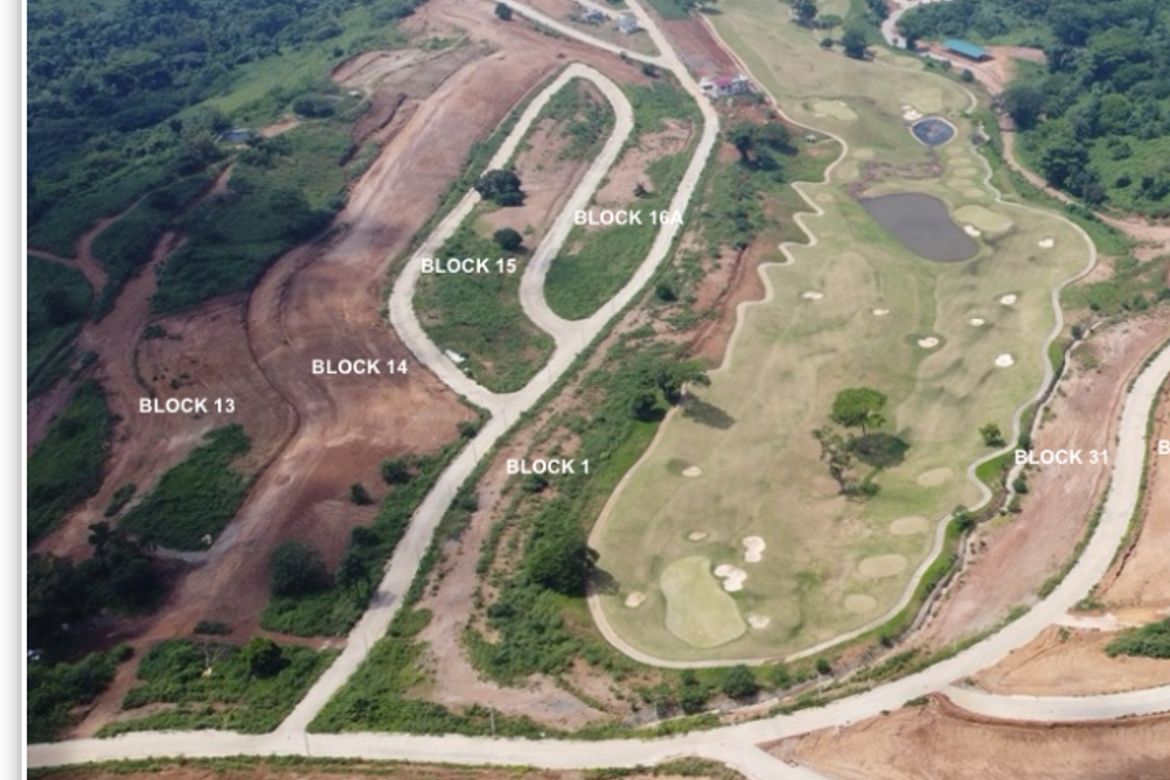 Land for Sale in Quinawan, Bagac, Bataan – photo 3