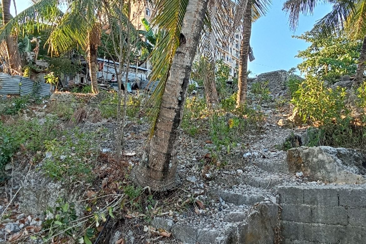 Land for Sale in Quiot Pardo, Cebu City, Cebu – photo 7
