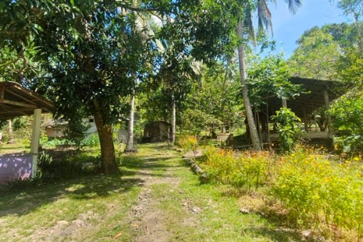 Land for Sale in Quipot, San Juan, Batangas – photo 3