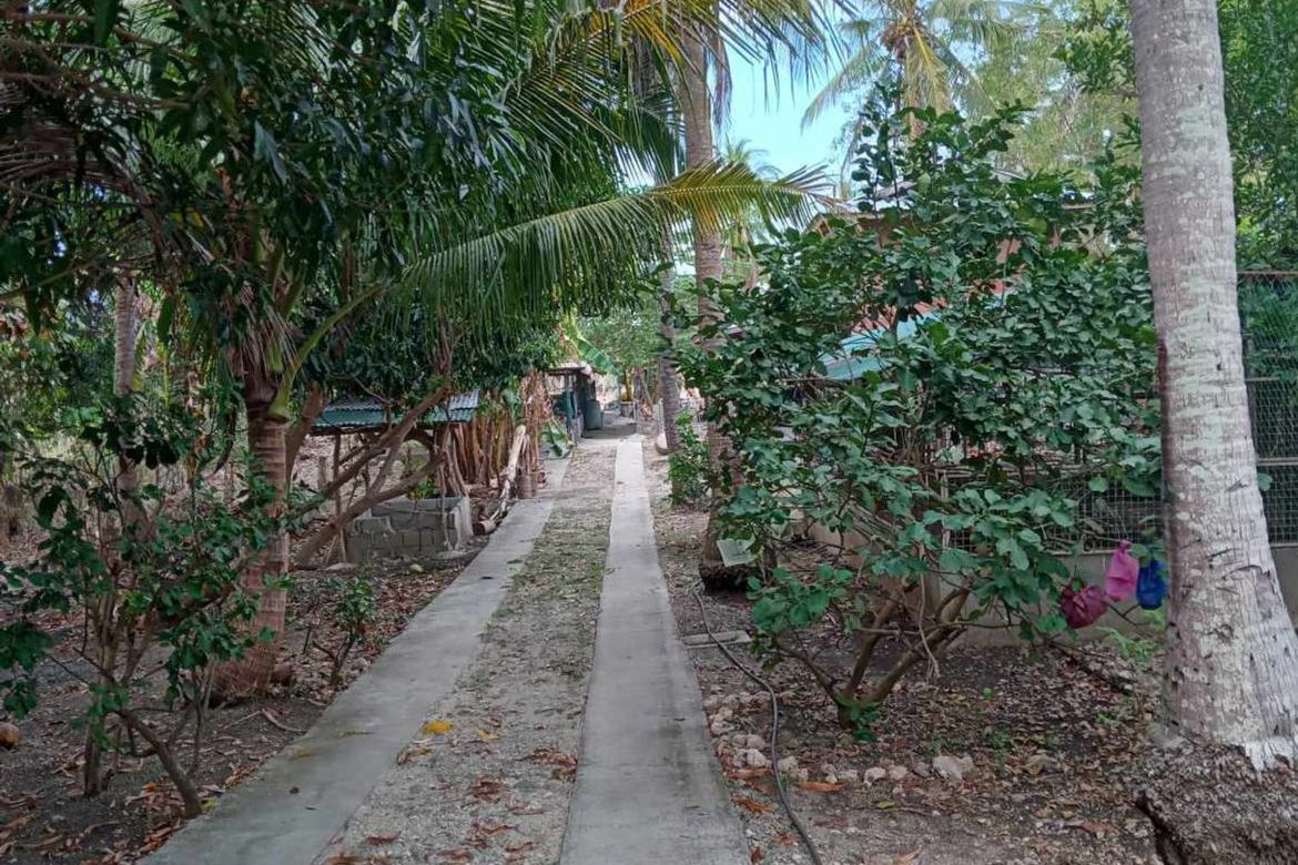Land for Sale in Quipot, San Juan, Batangas – photo 4