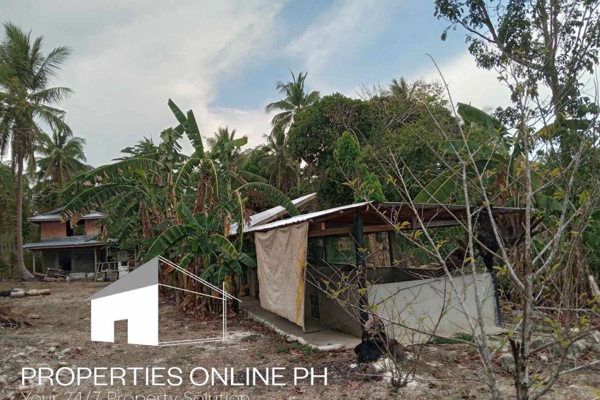 Land for Sale in Quipot, San Juan, Batangas – photo 8