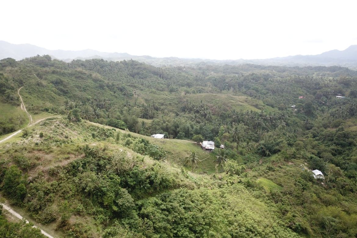 Land for Sale in Quipot, San Juan, Batangas – photo 2