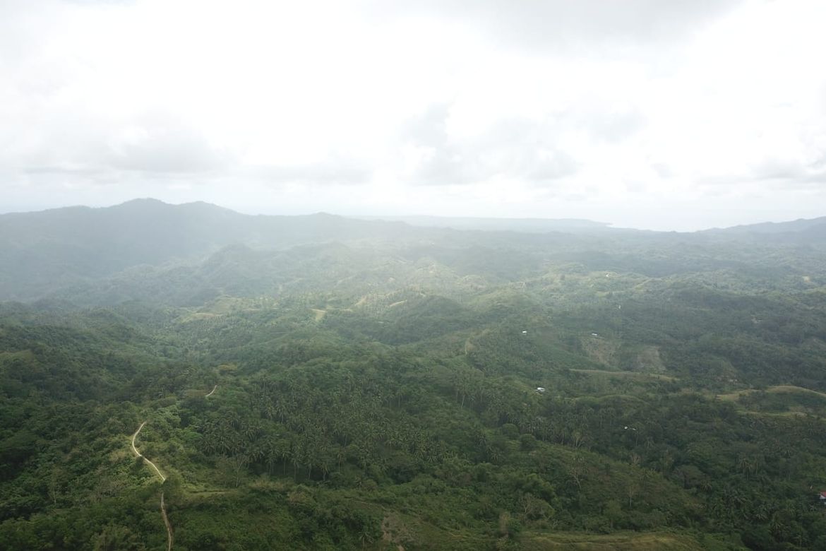 Land for Sale in Quipot, San Juan, Batangas – photo 4