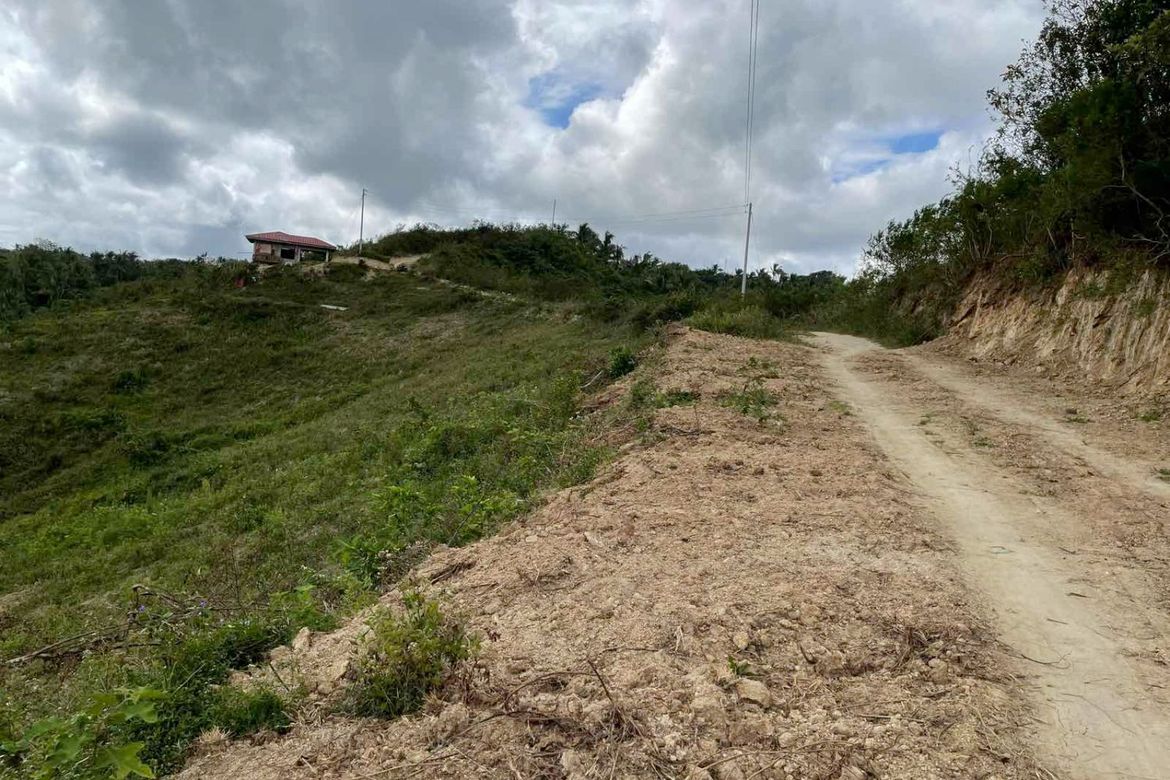 Land for Sale in Quipot, San Juan, Batangas – photo 6