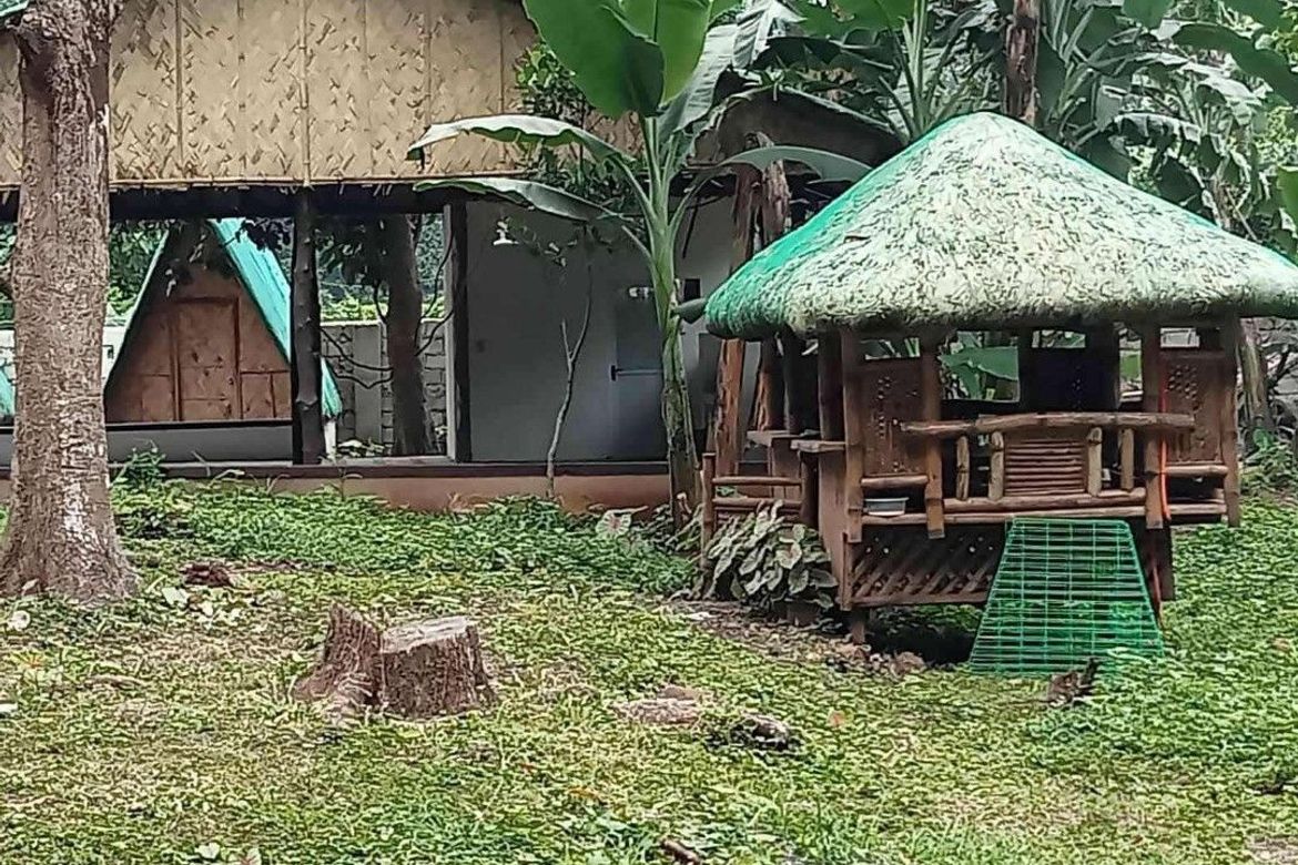 Land for Sale in Quisao, Pililla, Rizal – photo 4