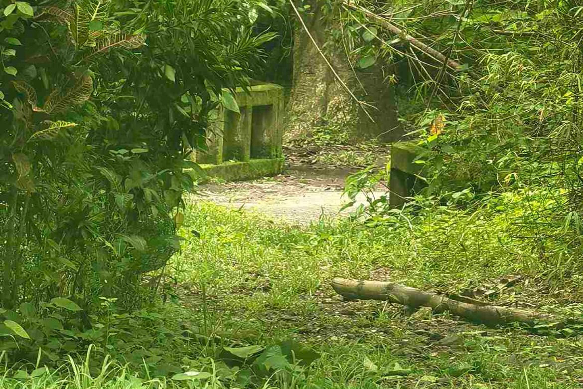 Land for Sale in Quisao, Pililla, Rizal – photo 2