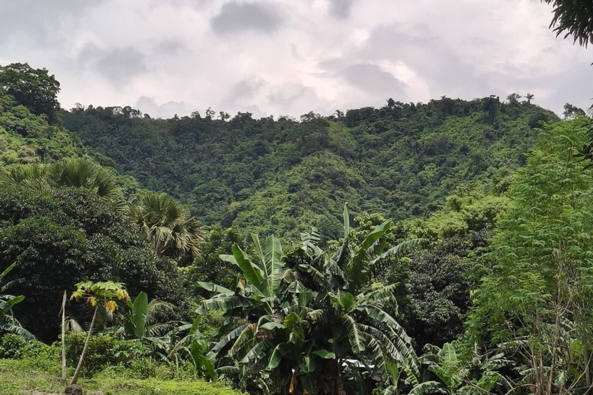 Land for Sale in Quisao, Pililla, Rizal – photo 2