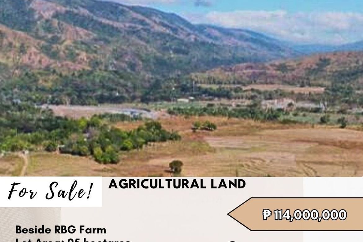 Land for Sale in R.A.Padilla, Carranglan, Nueva Ecija