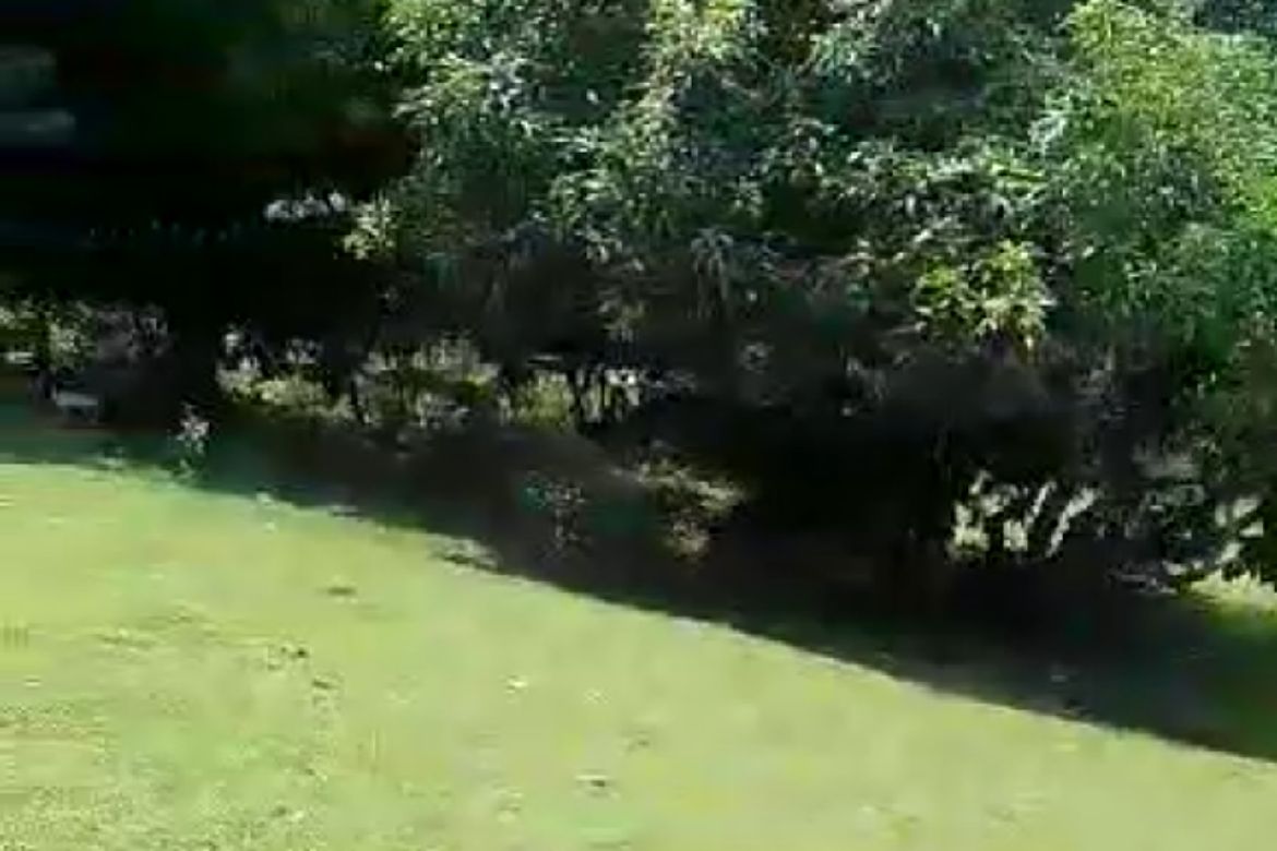 Land for Sale in Rabon, Rosario, La Union – photo 4