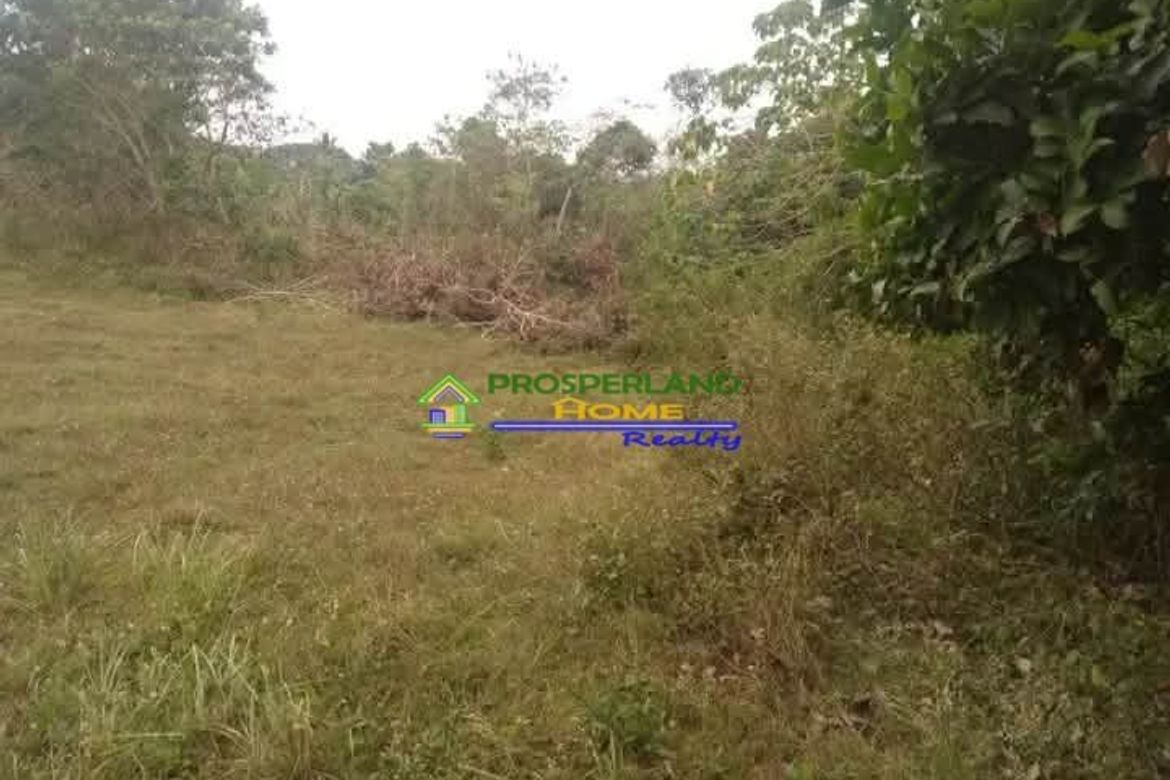 Land for Sale in Real, Calamba, Laguna – photo 5