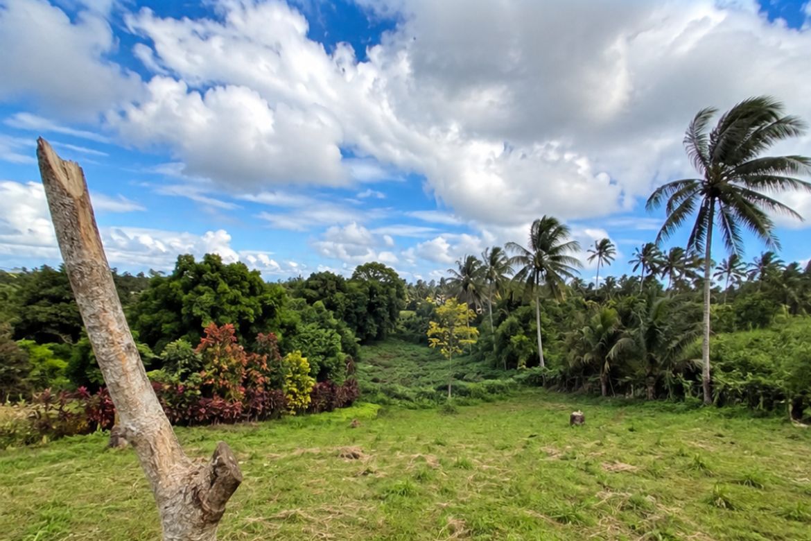 Land for Sale in Real, Calamba, Laguna