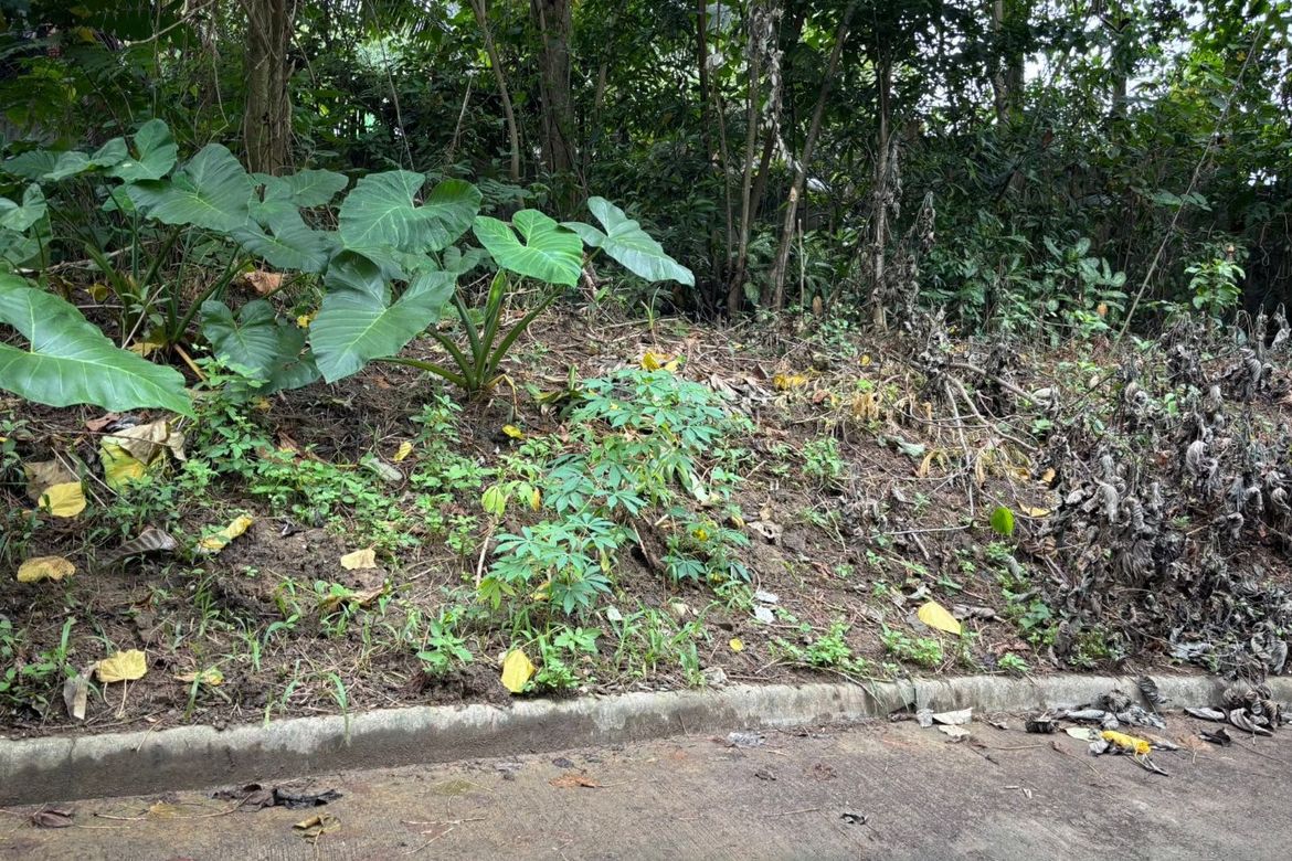 Land for Sale in REDSTONE VILLAGE, Talamban, Cebu City, Cebu