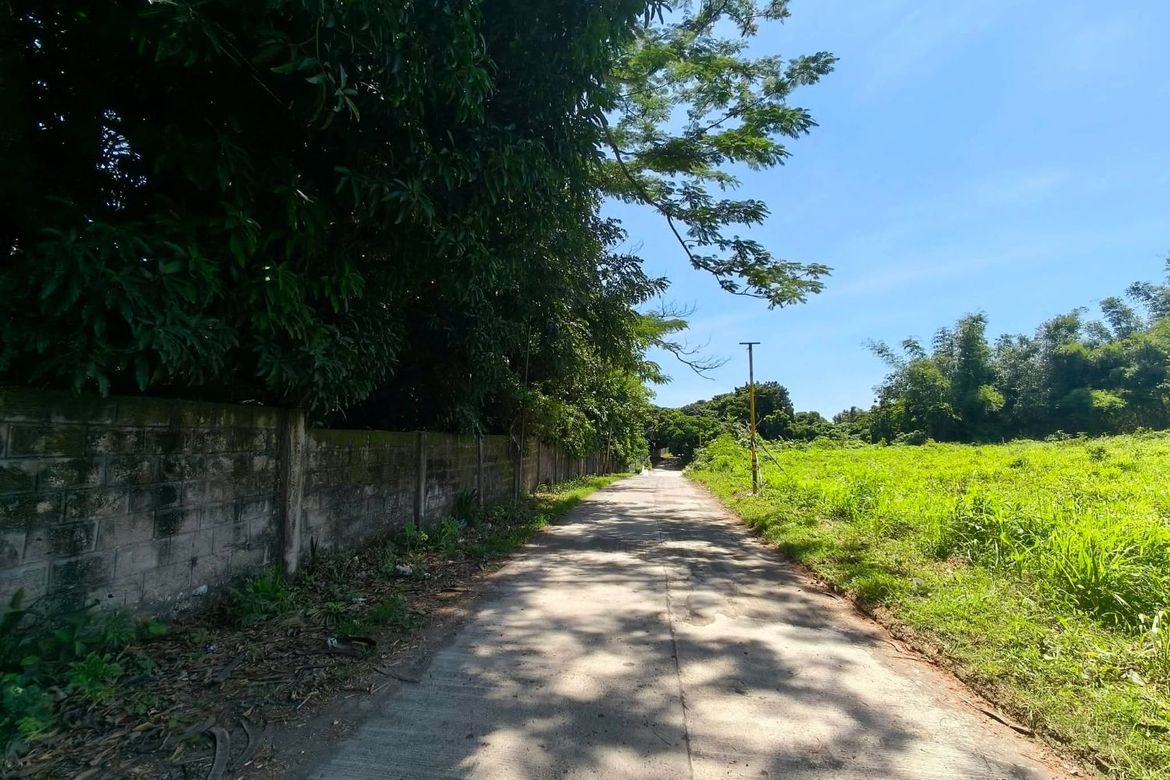 Land for Sale in Resplandor, San Pascual, Batangas – photo 3