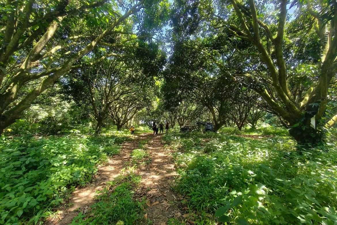 Land for Sale in Resplandor, San Pascual, Batangas – photo 5