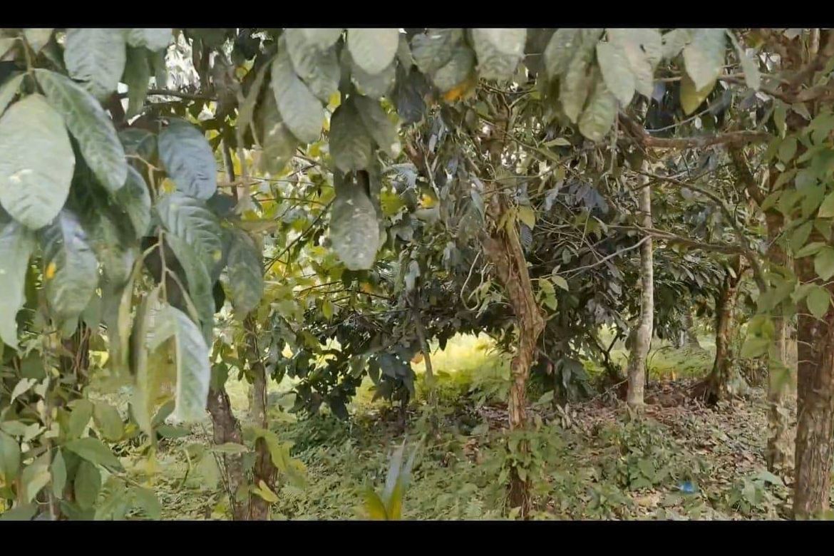 Land for Sale in Riverside, Davao City, Davao del Sur – photo 3