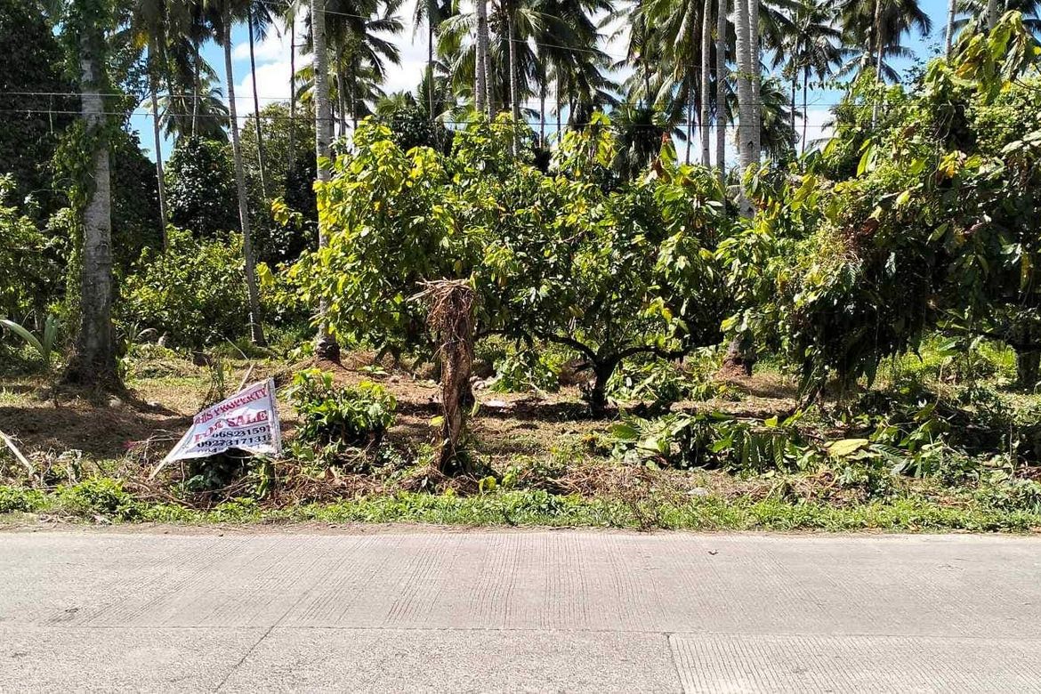 Land for Sale in Riverside, Davao City, Davao del Sur – photo 4