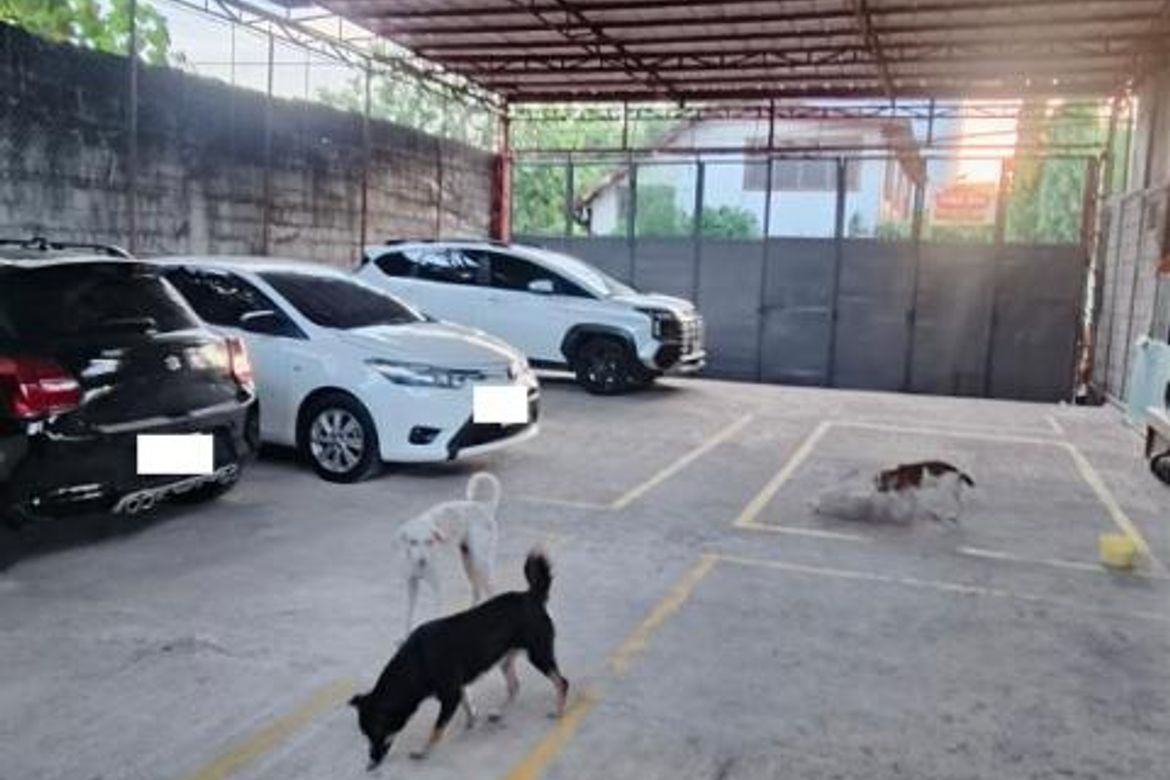 Land for Sale in Rizal, Makati, Metro Manila – photo 2