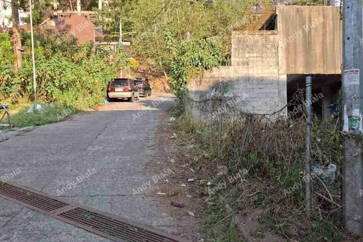 Land for Sale in Rizal Monument Area, Baguio, Benguet – photo 3