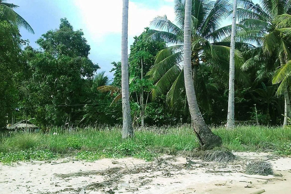 Land for Sale in Rizal, Roxas, Palawan – photo 2