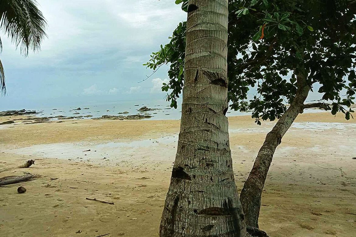 Land for Sale in Rizal, Roxas, Palawan – photo 3