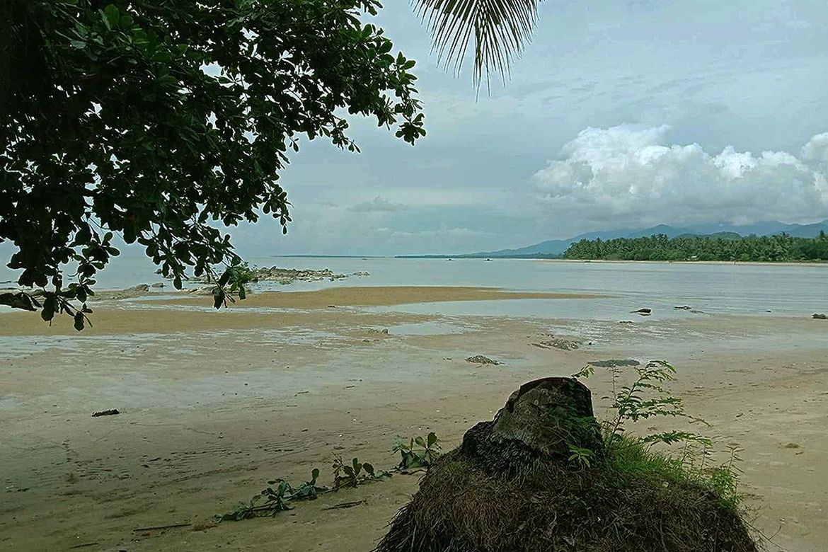 Land for Sale in Rizal, Roxas, Palawan – photo 4