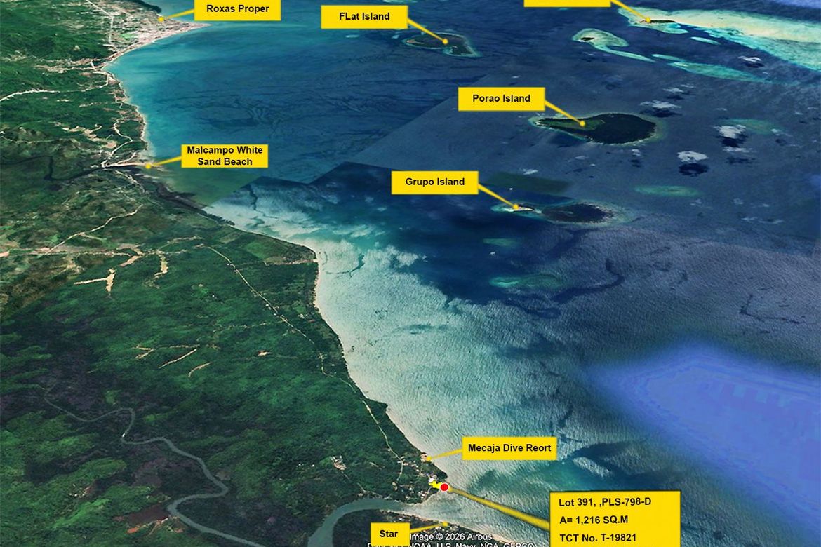 Land for Sale in Rizal, Roxas, Palawan – photo 5