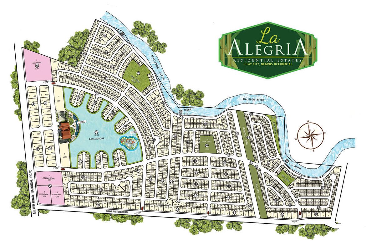 Land for Sale in Rizal, Silay, Negros Occidental – photo 5