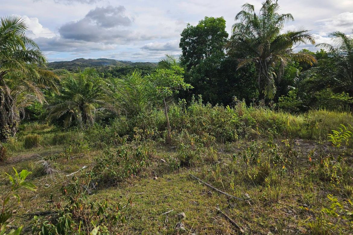 Land for Sale in Rizal, Talibon, Bohol – photo 2