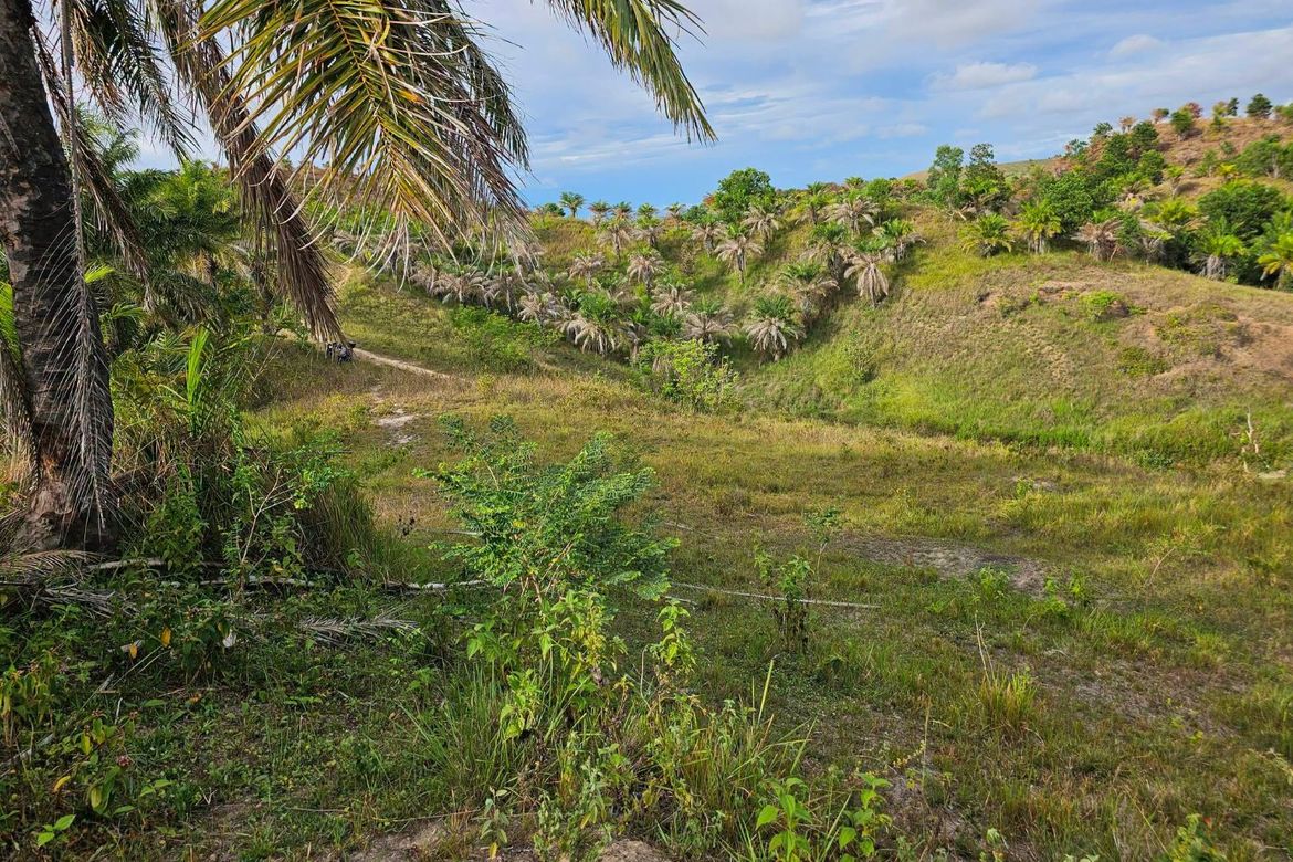 Land for Sale in Rizal, Talibon, Bohol – photo 3