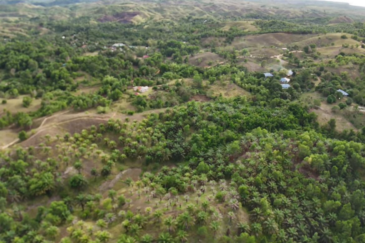 Land for Sale in Rizal, Talibon, Bohol – photo 8