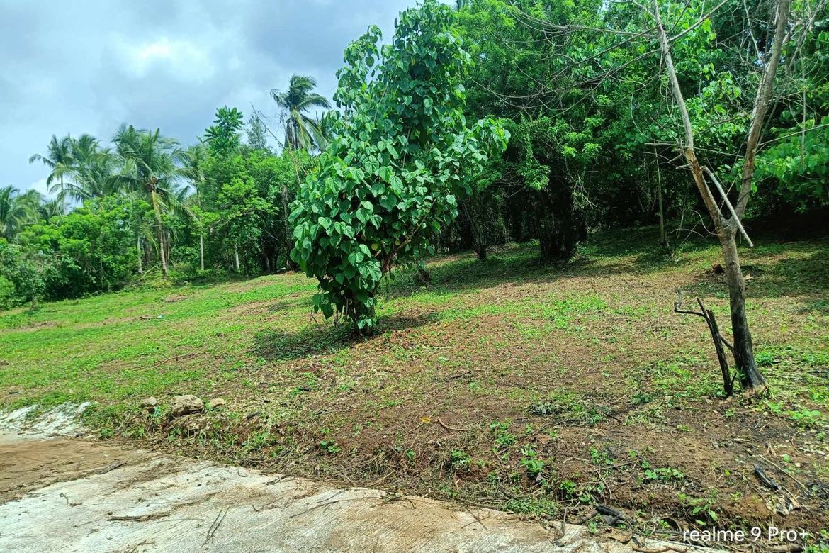 Land for Sale in Rizal, Tuy, Batangas – photo 2