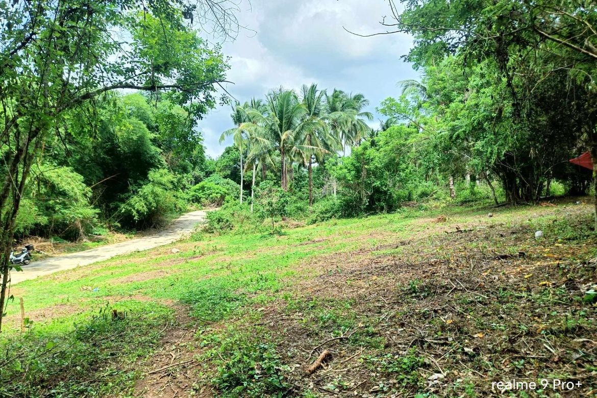 Land for Sale in Rizal, Tuy, Batangas – photo 4