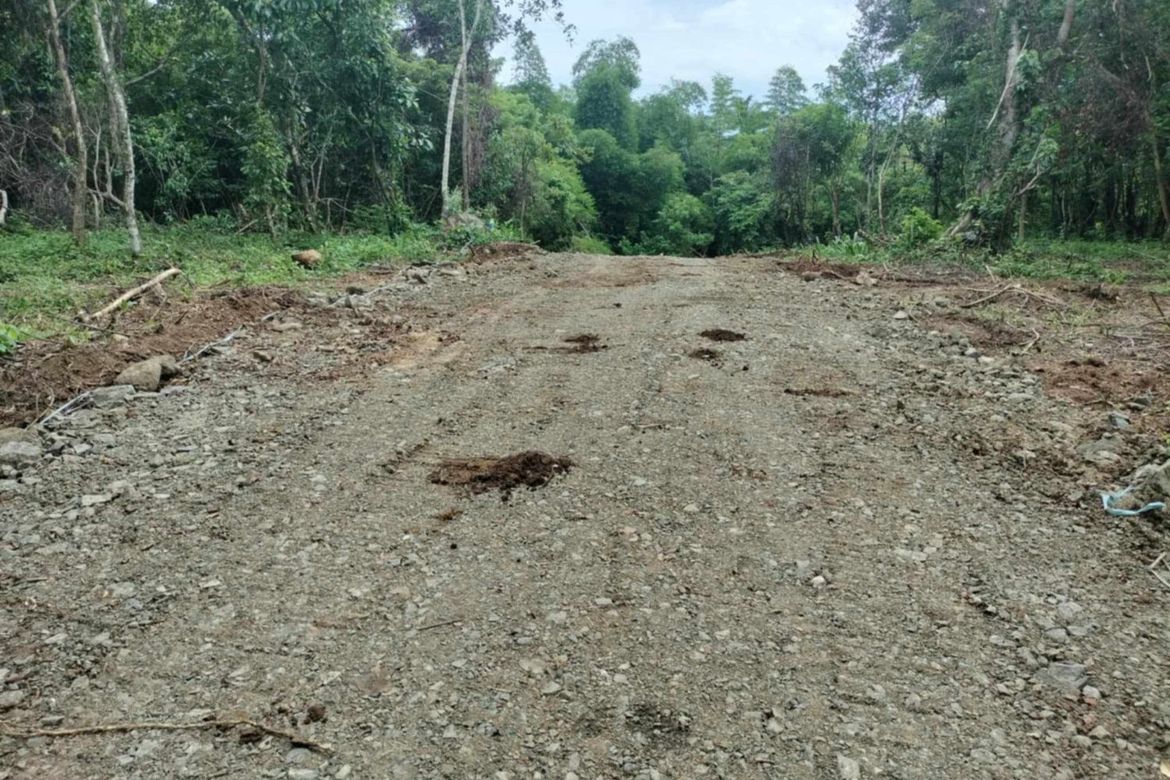 Land for Sale in Rizal, Tuy, Batangas – photo 5