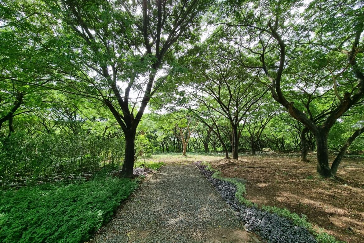 Land for Sale in Rockwell South at Carmelray, Canlubang, Calamba, Laguna