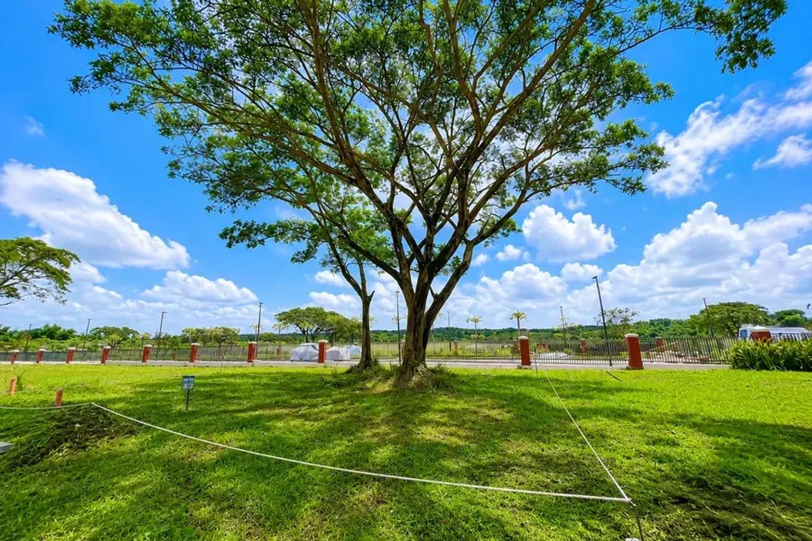 Land for Sale in Rockwell South at Carmelray, Canlubang, Calamba, Laguna – photo 3