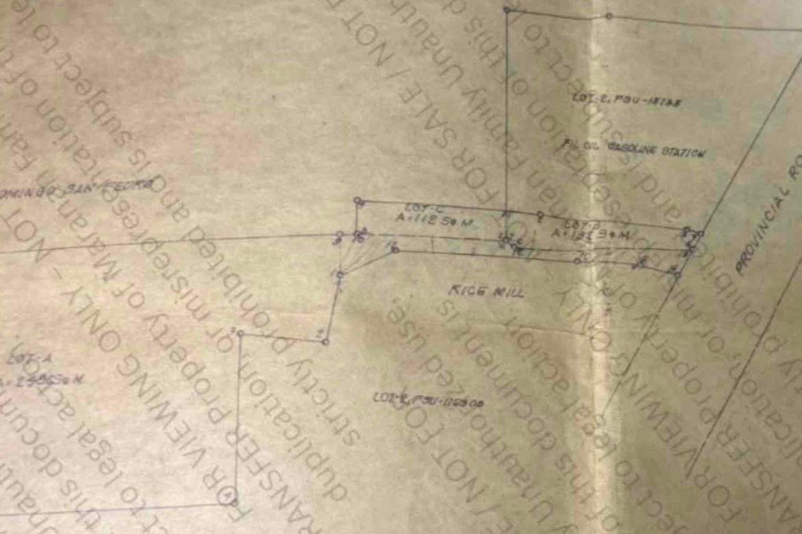 Land for Sale in Rosario, Pasig, Metro Manila