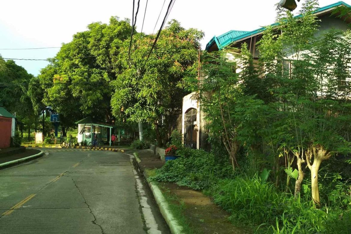 Land for Sale in Rosario, Pasig, Metro Manila