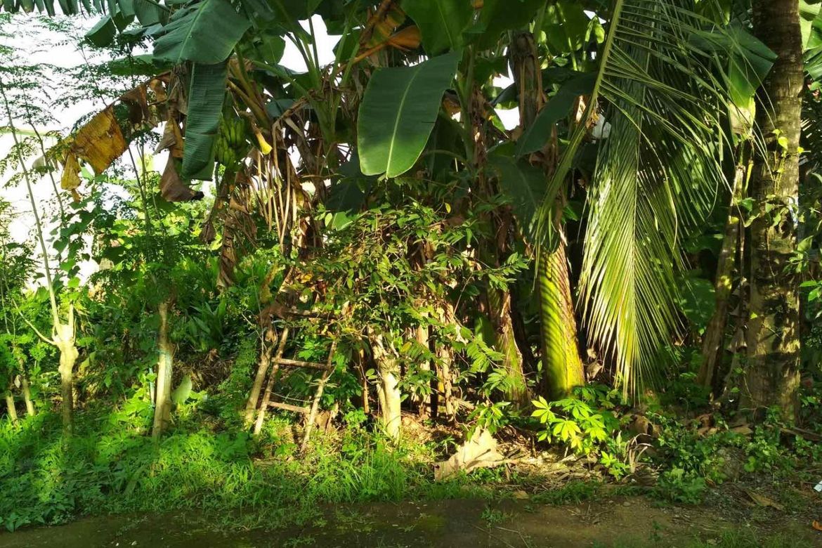 Land for Sale in Rosario, Pasig, Metro Manila – photo 2