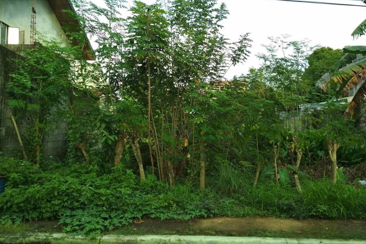 Land for Sale in Rosario, Pasig, Metro Manila – photo 3