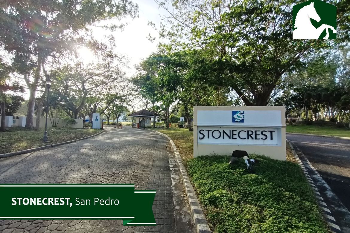 Land for Sale in Rosario, San Pedro, Laguna