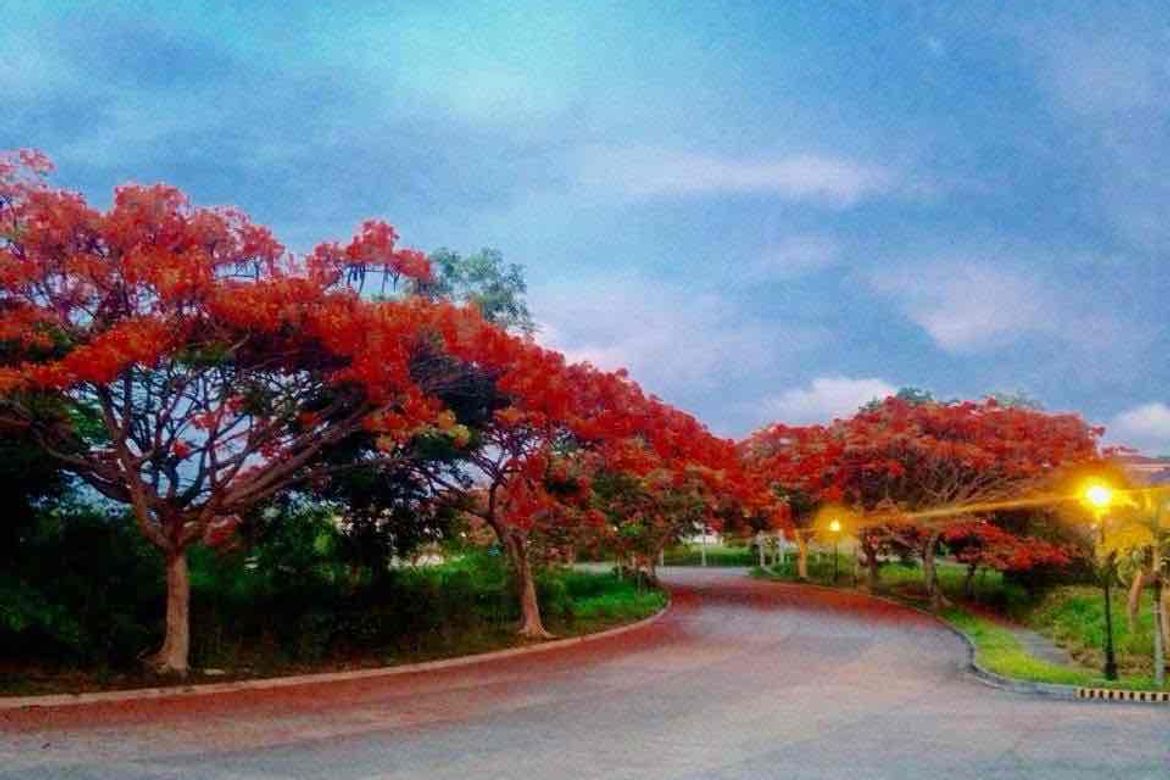 Land for Sale in Rosario, San Pedro, Laguna