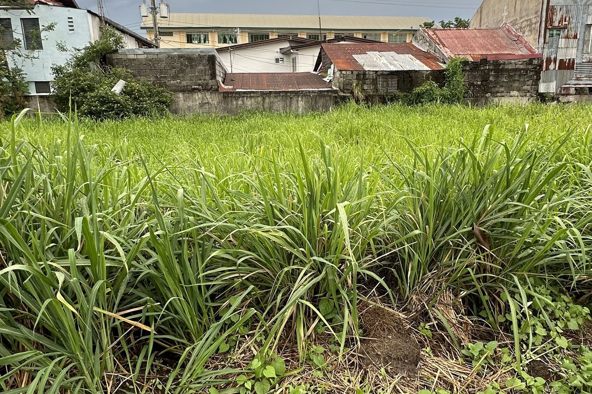 Land for Sale in Rosewood Parkhomes, Angeles, Pampanga – photo 4